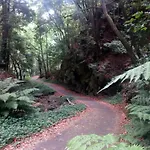 Il Gabbiano Appartement Playa Cancajos.- BreNa Baja (la Palma)