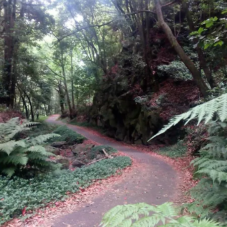 Il Gabbiano Apartment Los Cancajos