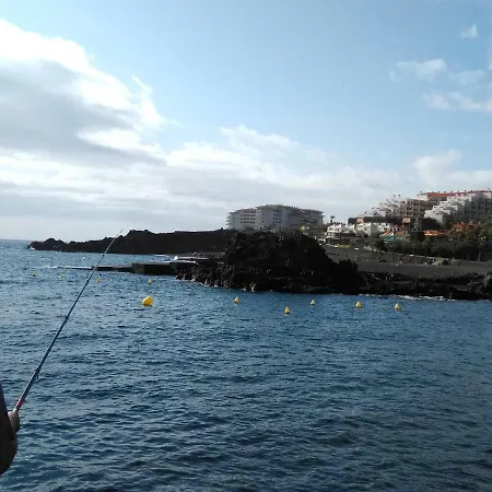 Il Gabbiano *