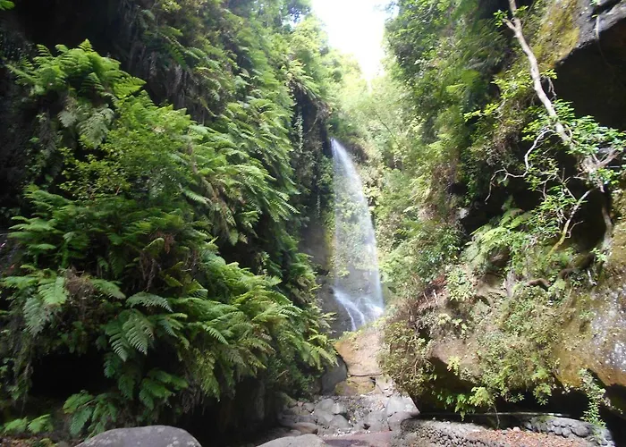 Il Gabbiano Playa Cancajos.- BreNa Baja (la Palma)